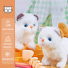 2025 New 13PCS Cute Electronic Pet Cat Toy Children's Simulation Electric Plush Kitten Portable Children's Toy Gift